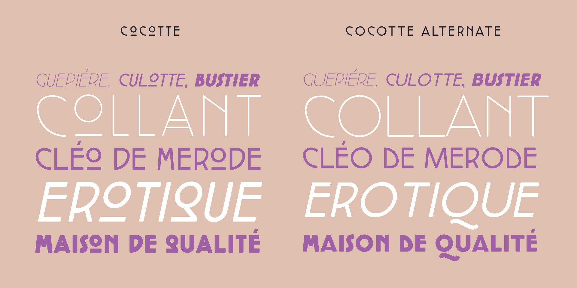 Cocotte